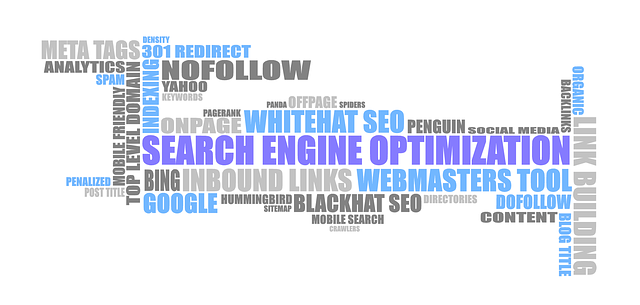 SEO Google My Business,