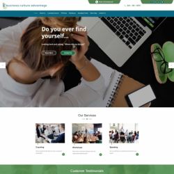 Business Culture Advantage