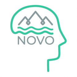 Novotelehealth Logo