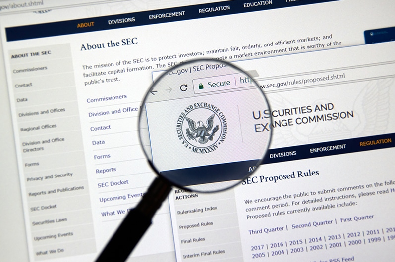 Regulatory Enforcement Defense